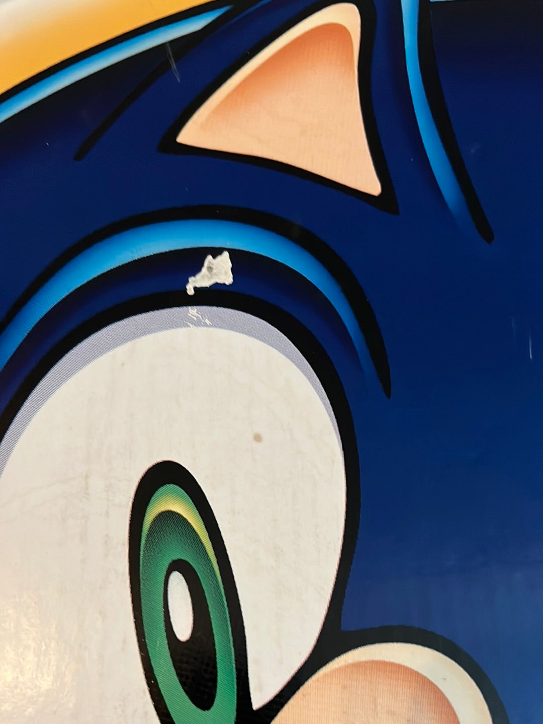 Sonic Adventure Display