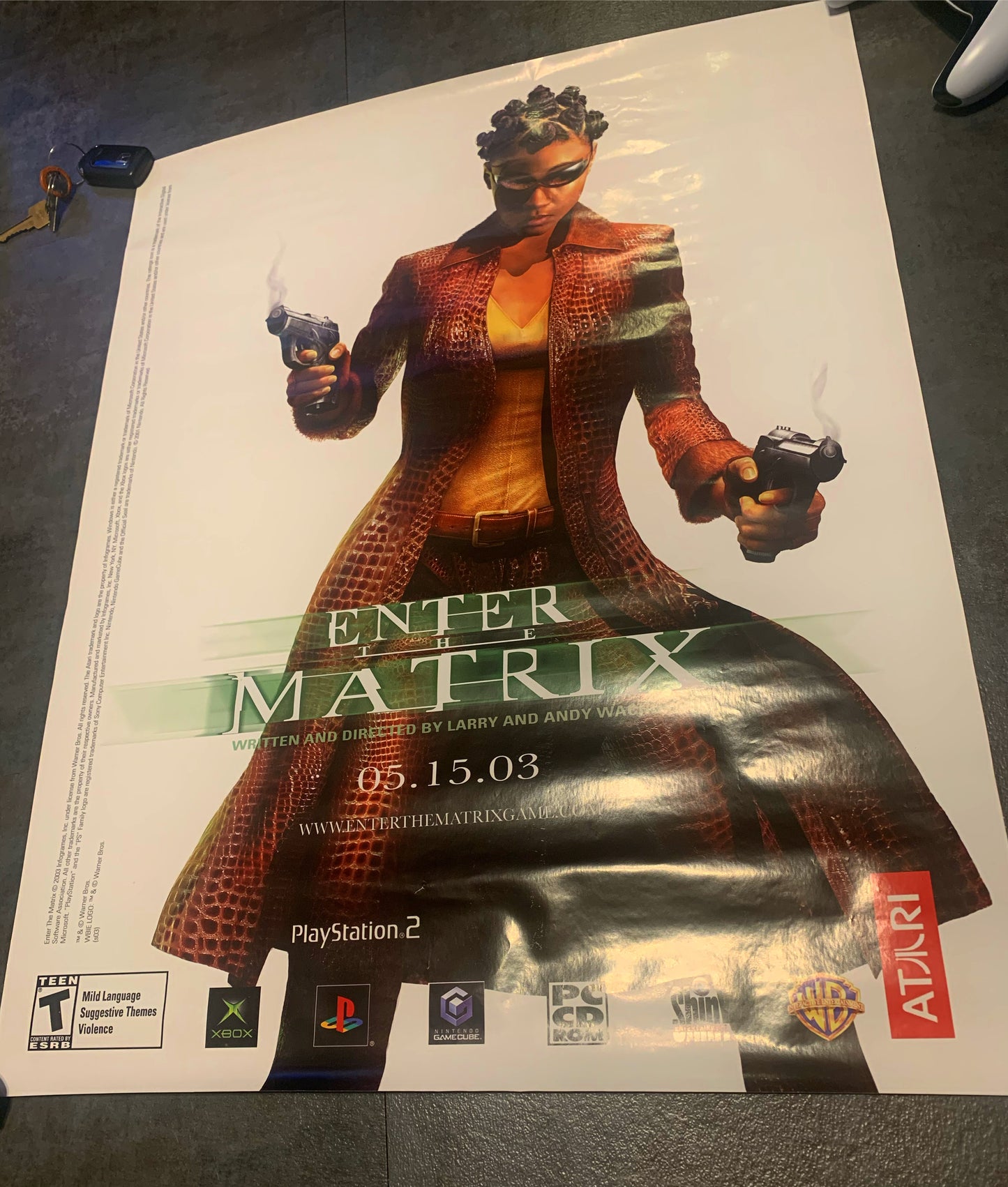 Enter the Matrix 2003 B2 Poster