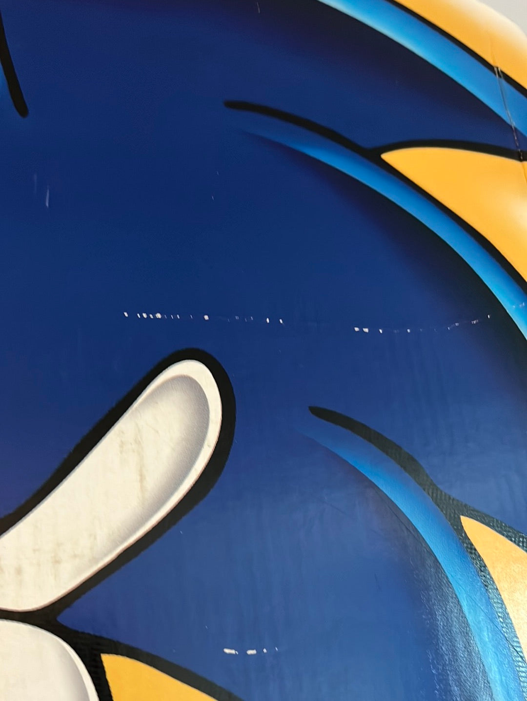 Sonic Adventure Display