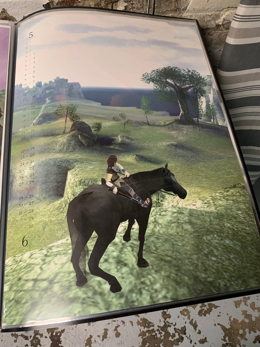Shadow of the Colossus PS2 2005 B2 Poster Variant 3