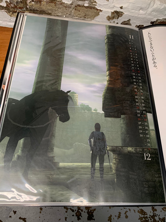 Shadow of the Colossus PS2 2005 B2 Poster Variante 6