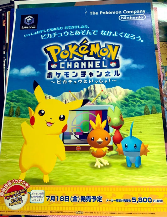 Pokémon Canal B2 GameCube Póster